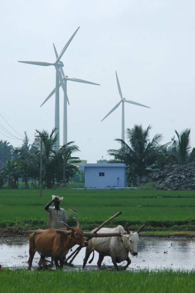 Wind farm6