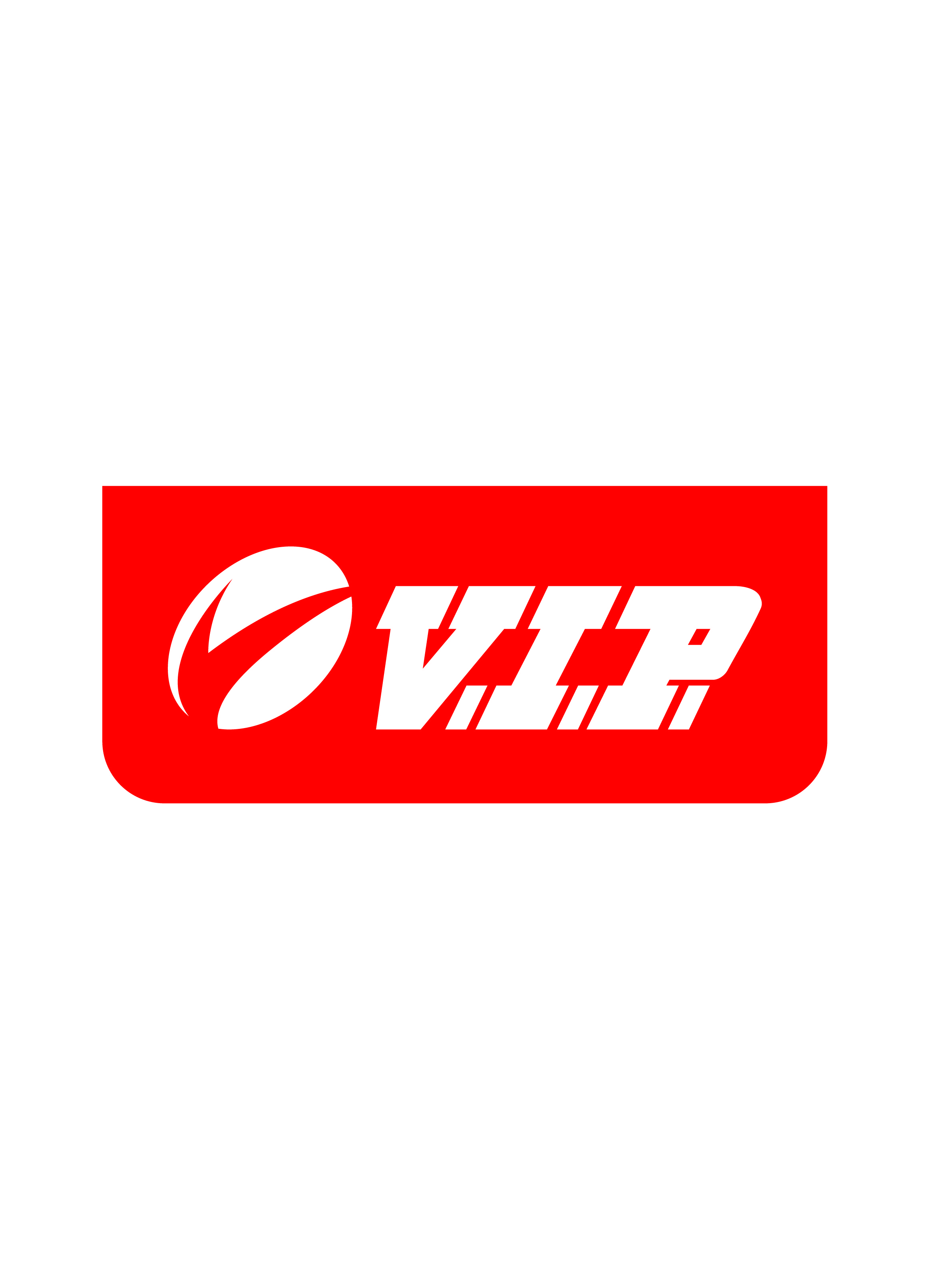 vip industries logo