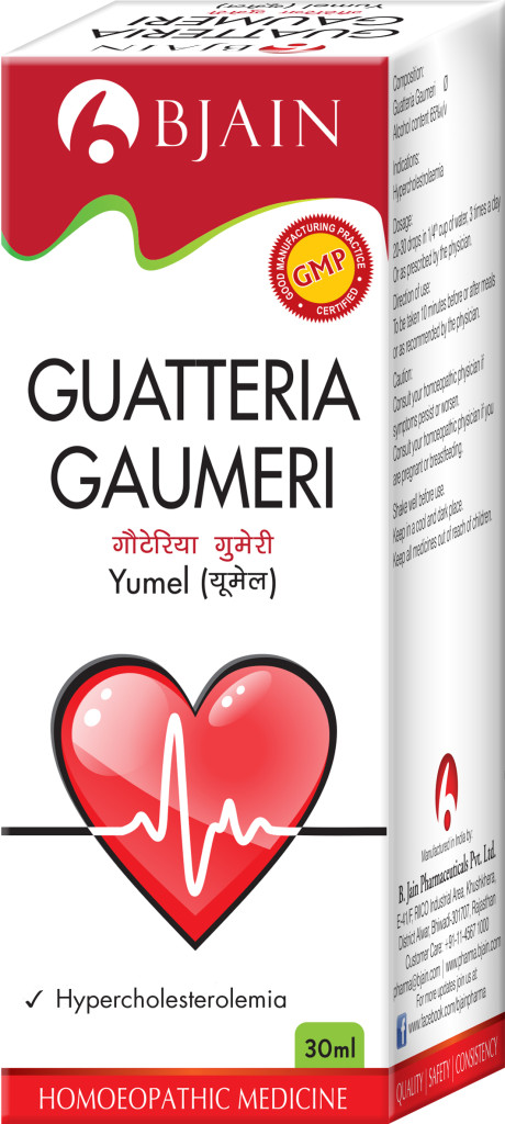 Guatteria Gaumeri 3D box