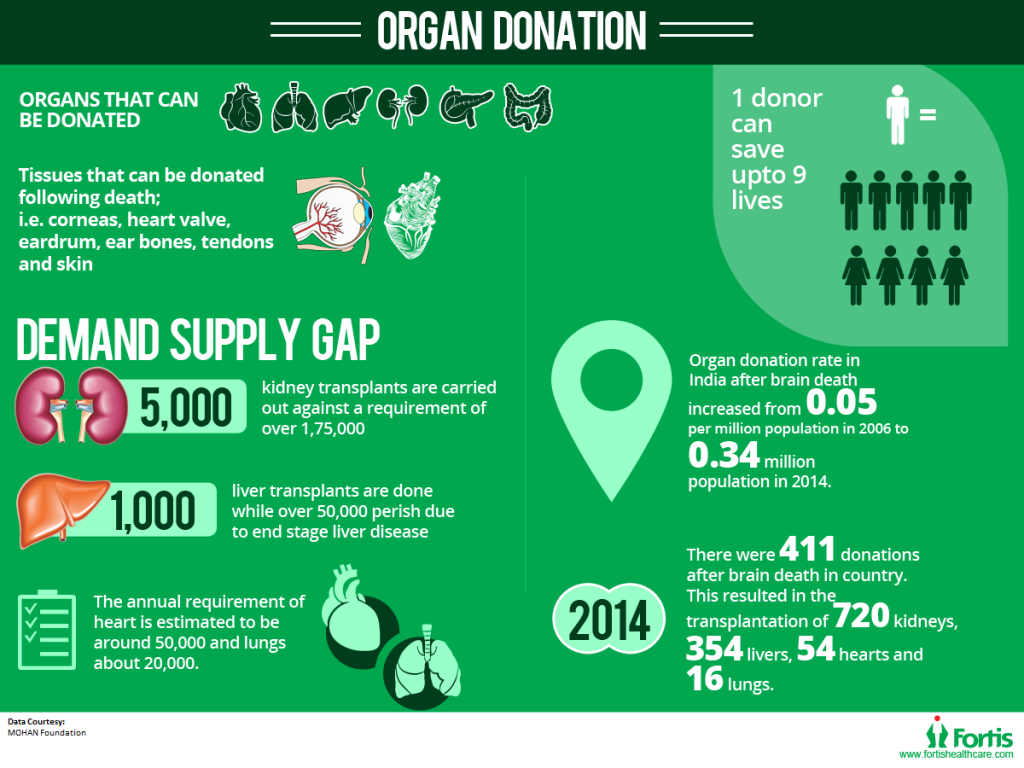 FORT_Infographic_Organ Donation