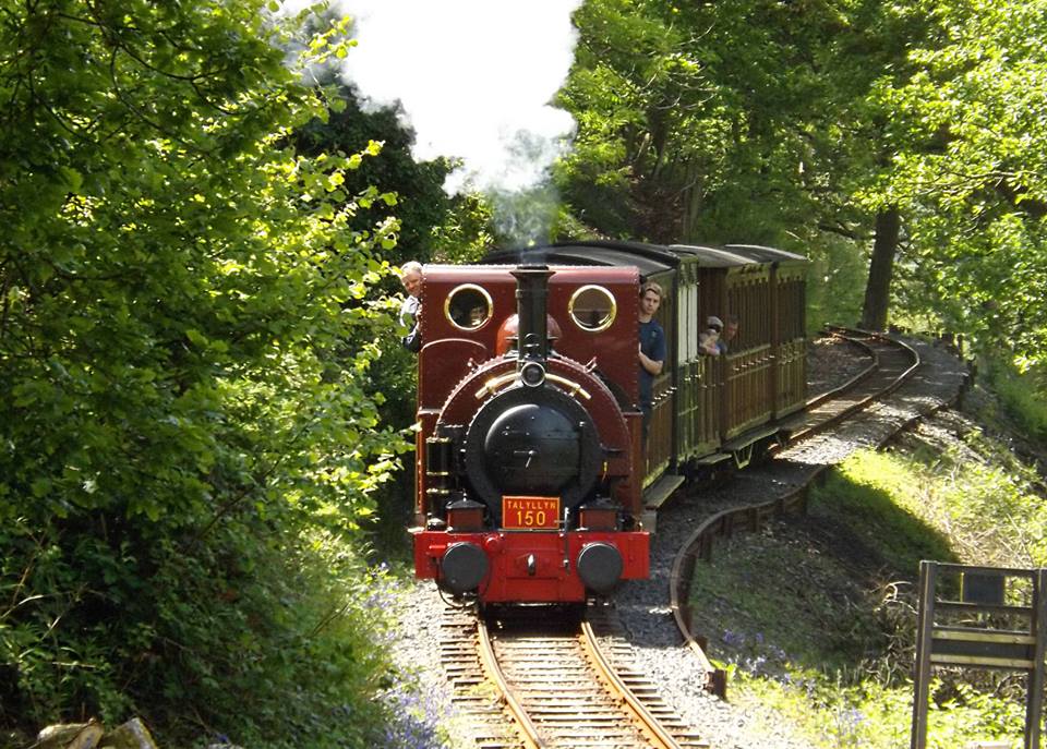 Great little trains of wales